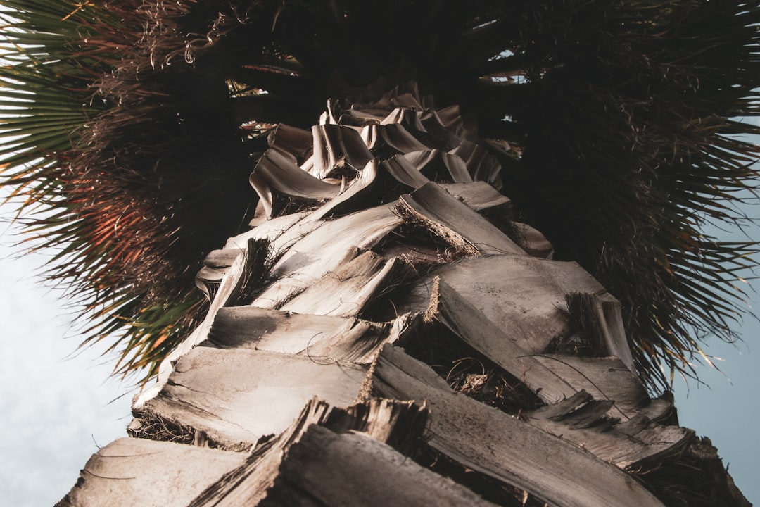 Gypsum Board Offcuts — Lot 01