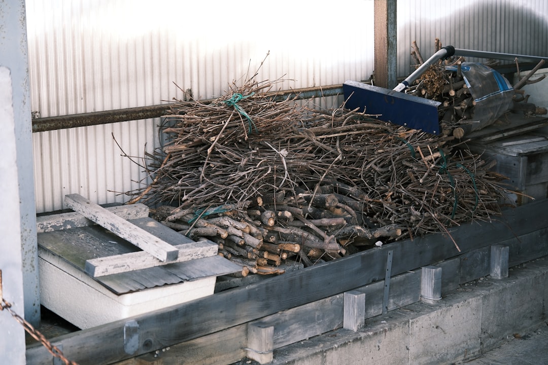 Brass Solids — Lot 04