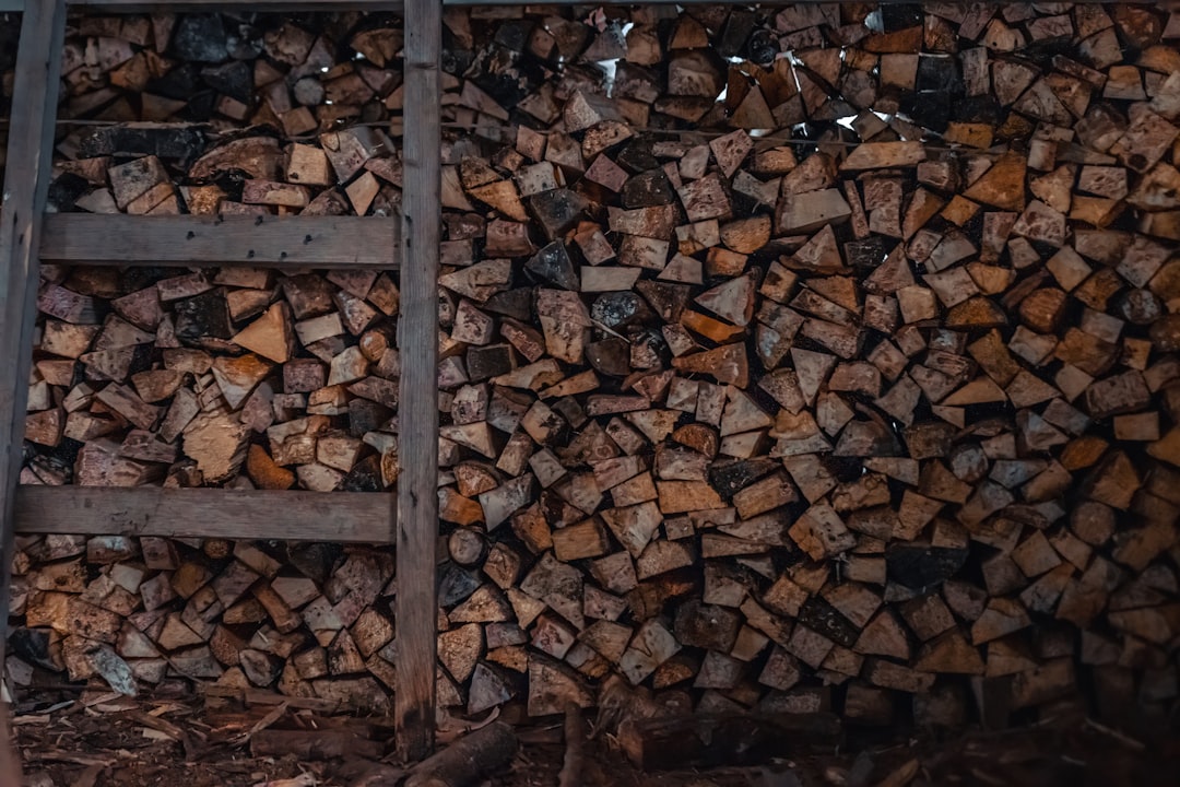 Wood Chips (Clean) — Lot 03